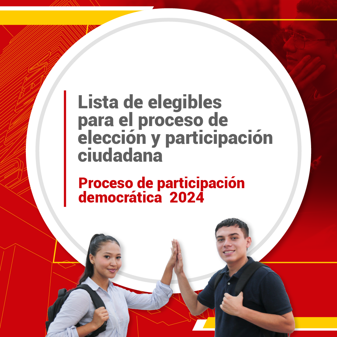 Proceso de Participación Democrática-2024.